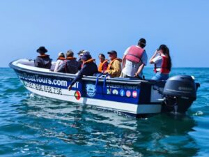 Service boat - The Excelsior 3
